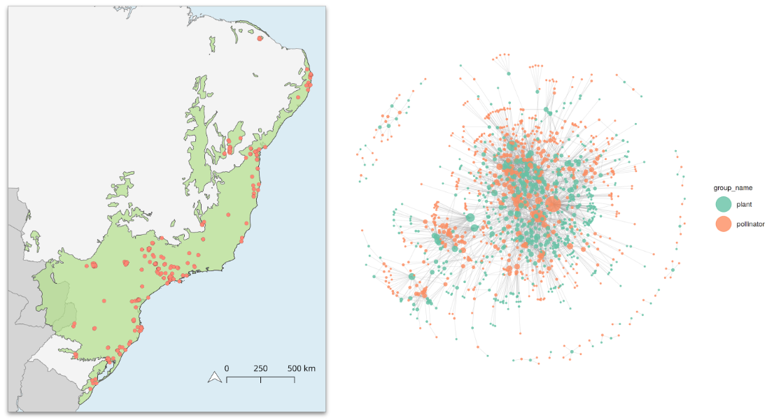 Pollination networks and spatial connectivity